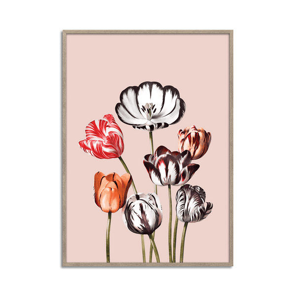 Tulips Bouquet