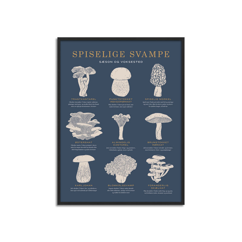 Plakat med Spiselige svampe fra Gehalt