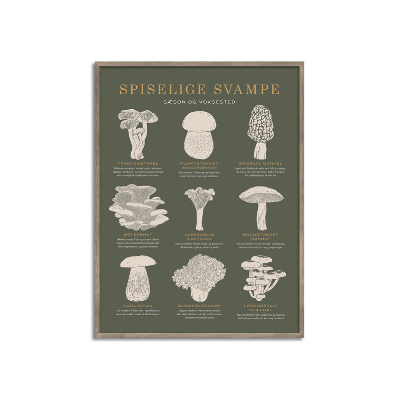 Plakat med Spiselige svampe fra Gehalt