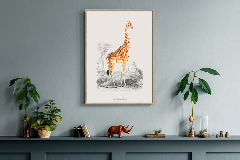 Giraffe